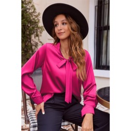 Women's Satin Silk Long Sleeve Blouse with Bow Tie Neck Office Work Wear Elegant Tops Women's Satin Silk Long Sleeve Blouse with Bow Tie Neck Office Work Wear Elegant Tops
